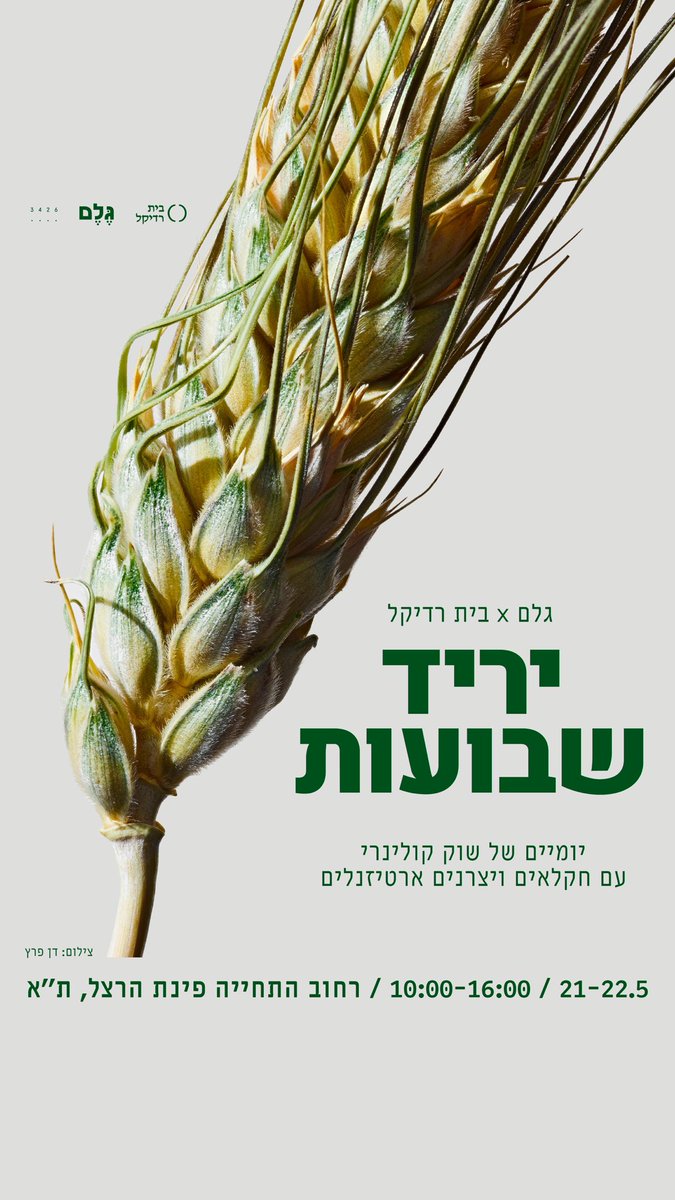joha ג'וחא tweet media