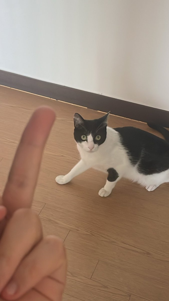 ppadttae452746's tweet photo. #일상계_𝕏친소 #일상계_트친소
#우울계_트친소 #정병계_트친소
자퇴하고 찐따되서 기어나온 09미소녀입니다❤️❤️구라고요(09인건 구라아님)암튼 남아도는게 시간이라 수제트윗 잘싸고요 님들이랑 칭구칭긔하고십어요
섹트계에셈계빼고 다받으니까 제발아무나 다 와주세요 https://t.co/52GTEZLc8c