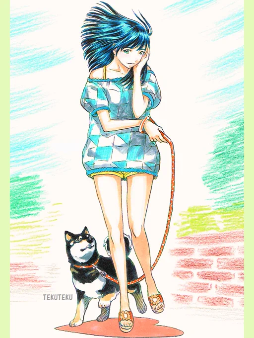 #初夏 #黒柴 #柴犬 #illustration #オリジナルイラスト