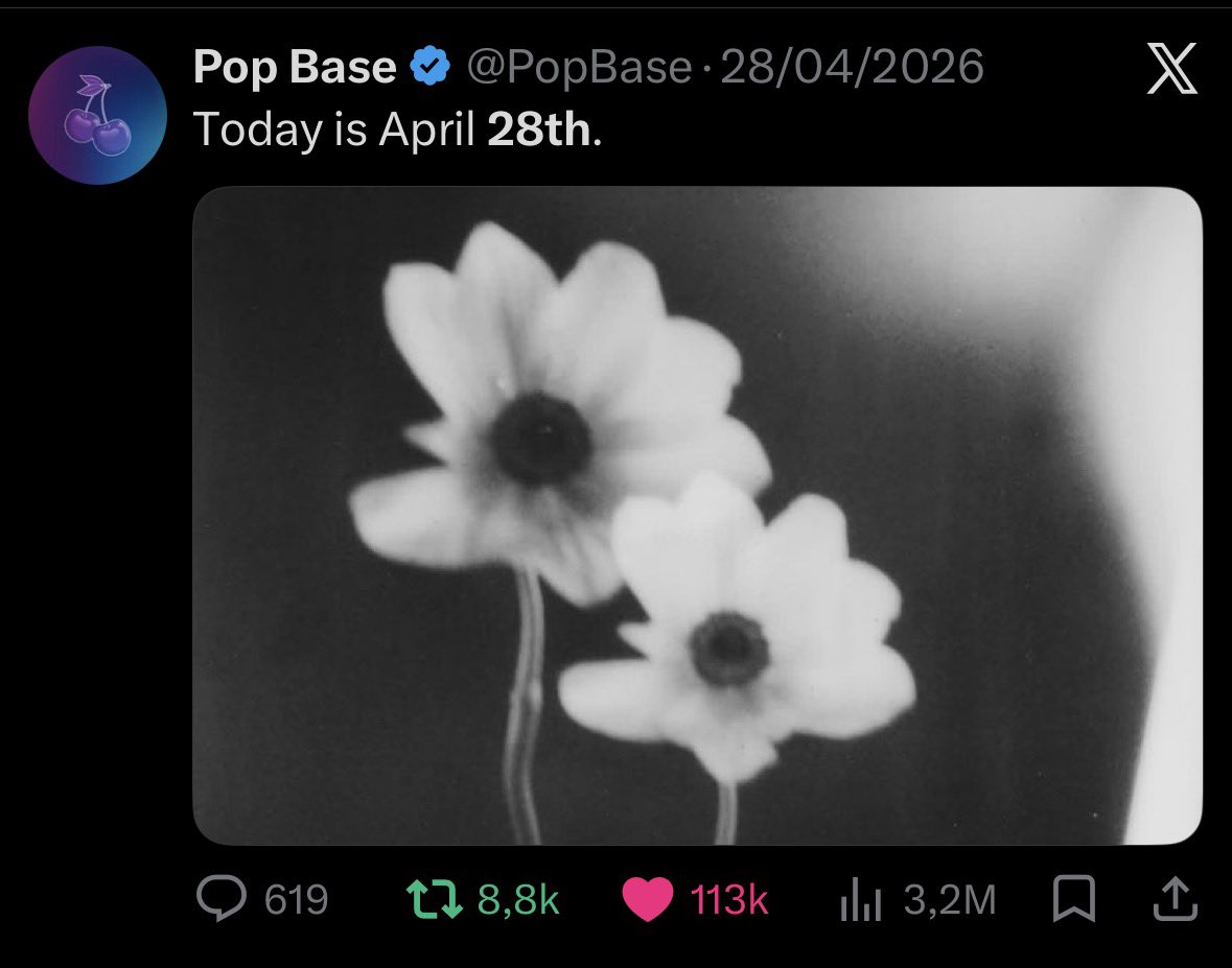 𝐬𝐭✰𝐫𝐠𝐢𝐫𝐥 ꕤ 🍒 tweet media