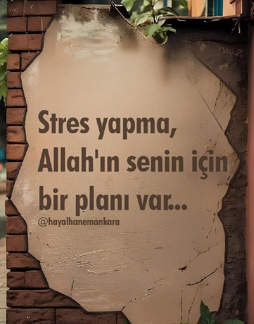 medineehli571's tweet photo. https://t.co/invLtPJTHP