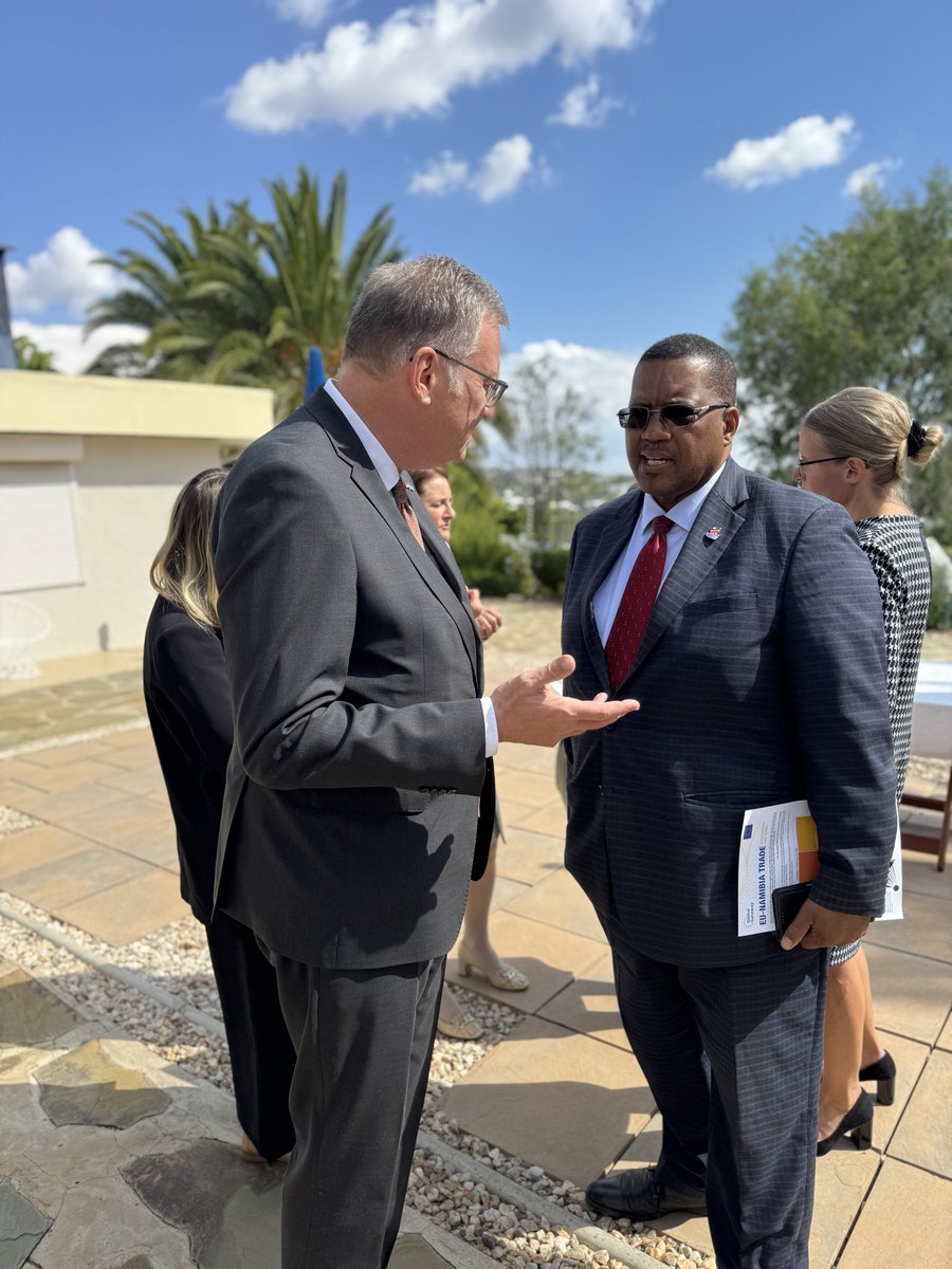 EU in Namibia tweet media