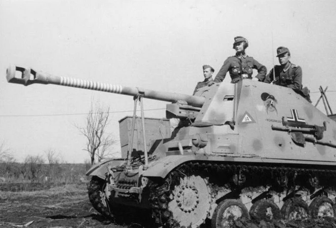 Tank Archives tweet media