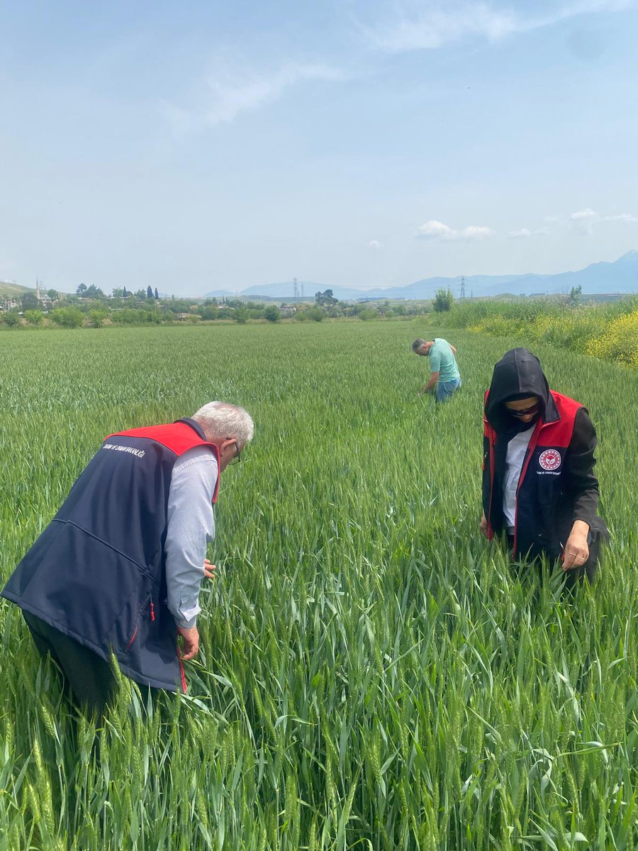 m_efenditarim's tweet photo. İlçe Müdürlüğümüz teknik ekiplerince arazi kontrollerimiz devam etmektedir.
@tarimgovtr 
@denizliiltarim 
@mustafa_nevzatzayim https://t.co/R5O7j7tV7T