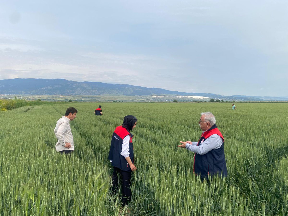 m_efenditarim's tweet photo. İlçe Müdürlüğümüz teknik ekiplerince arazi kontrollerimiz devam etmektedir.
@tarimgovtr 
@denizliiltarim 
@mustafa_nevzatzayim https://t.co/R5O7j7tV7T