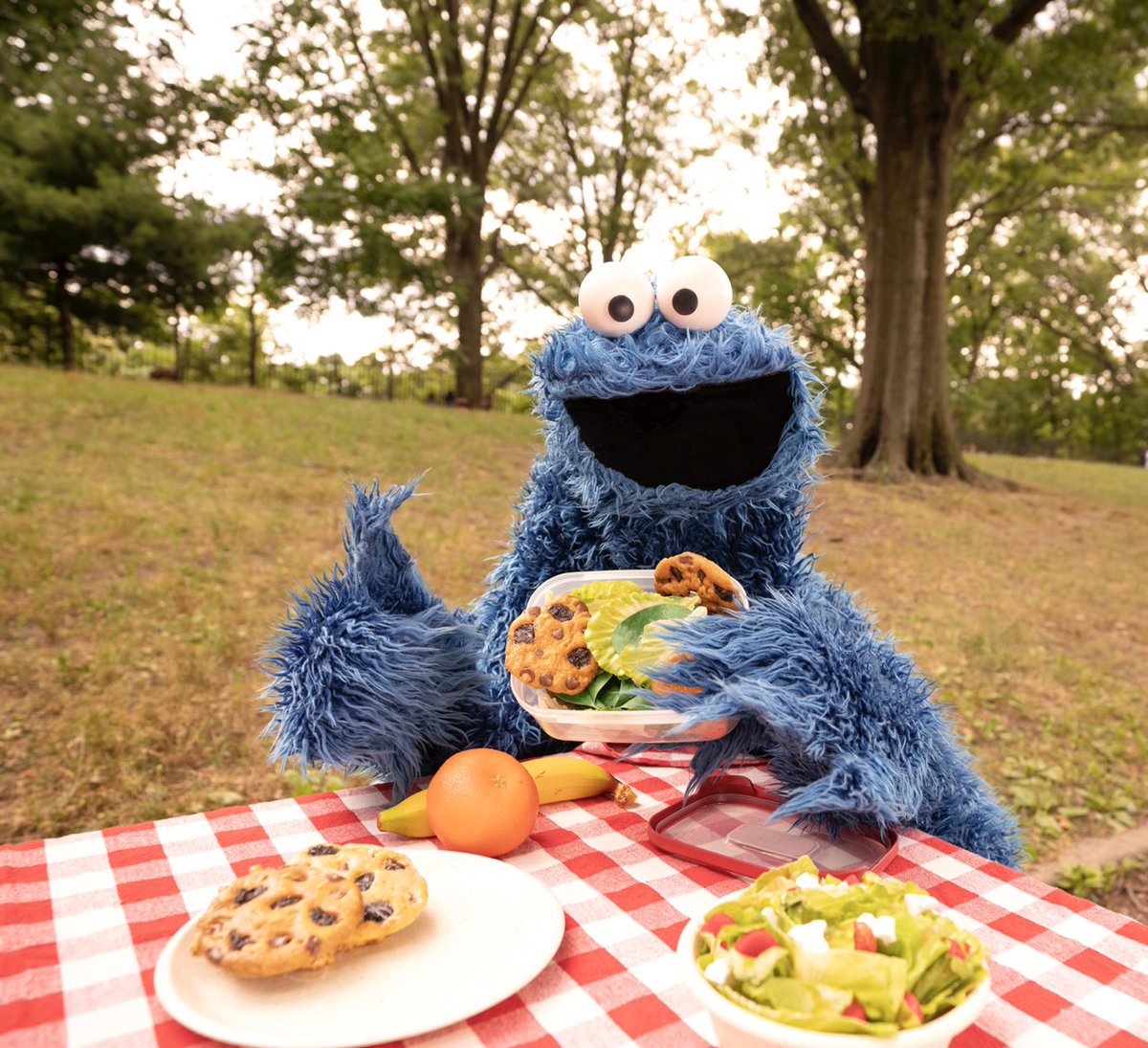 Cookie Monster tweet media