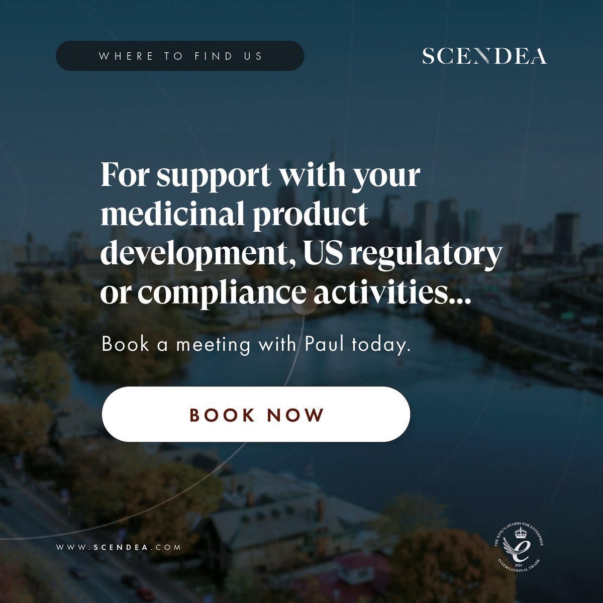 Scendea tweet media