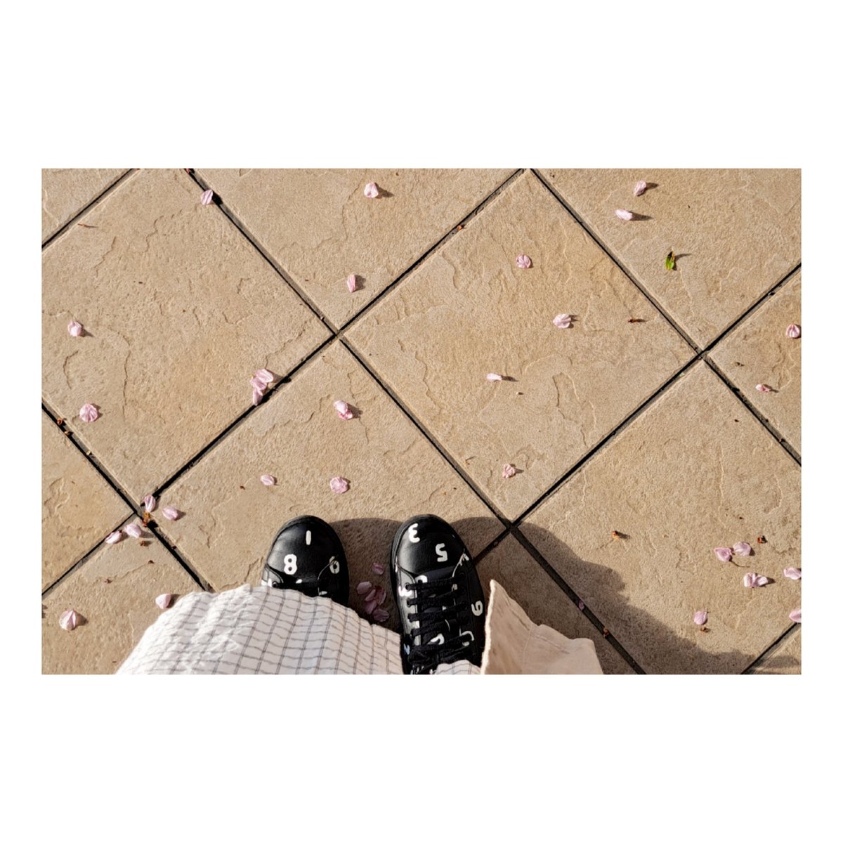 youmoooren's tweet photo. あとついでに報告ですが、会社を退職いたしました🌸いまは優雅に専業主婦(無職)しています。 https://t.co/sUVtHaSSSR