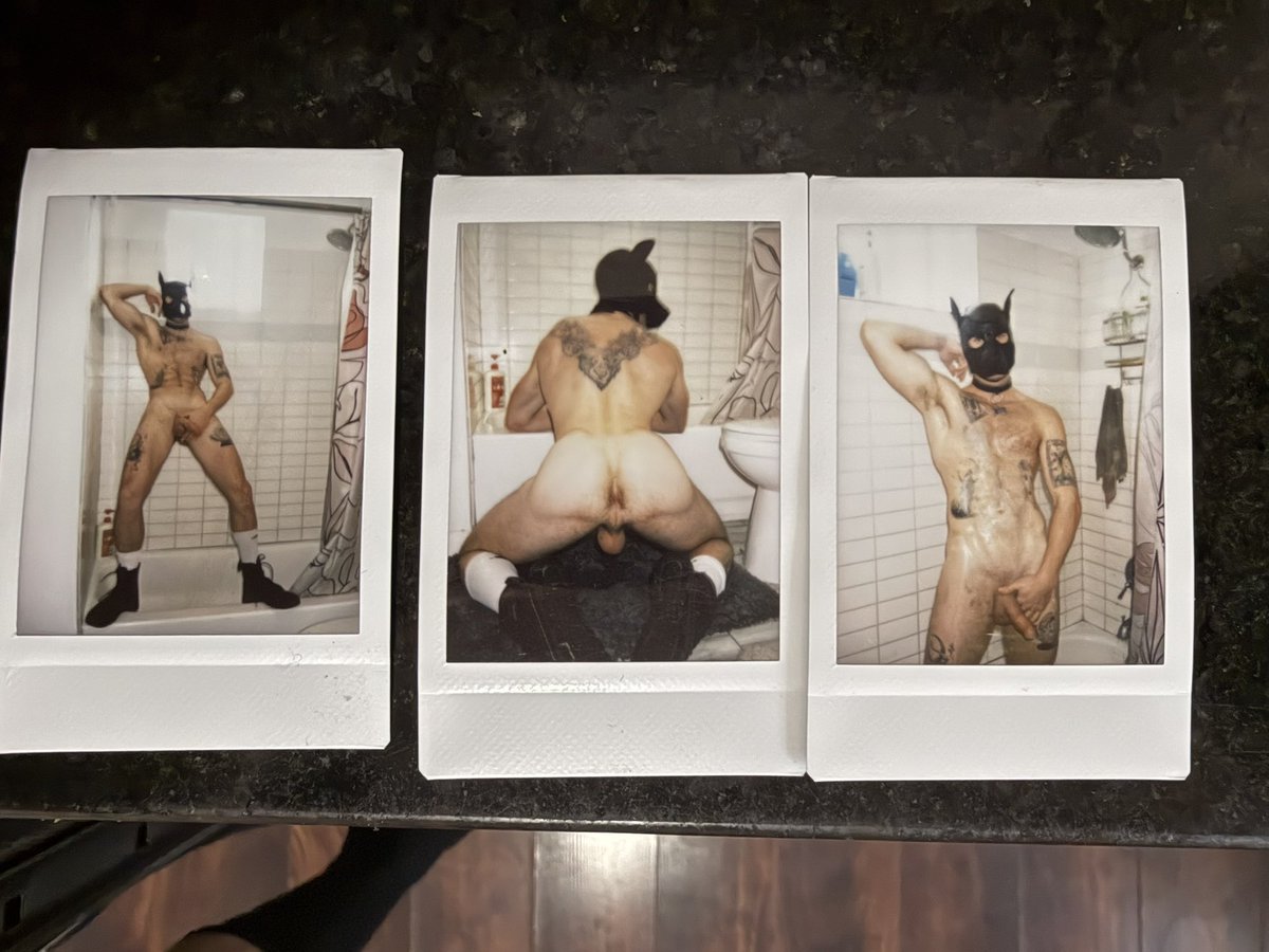 29k Sam the Tattoo Puppy-PV 4/30 tweet media