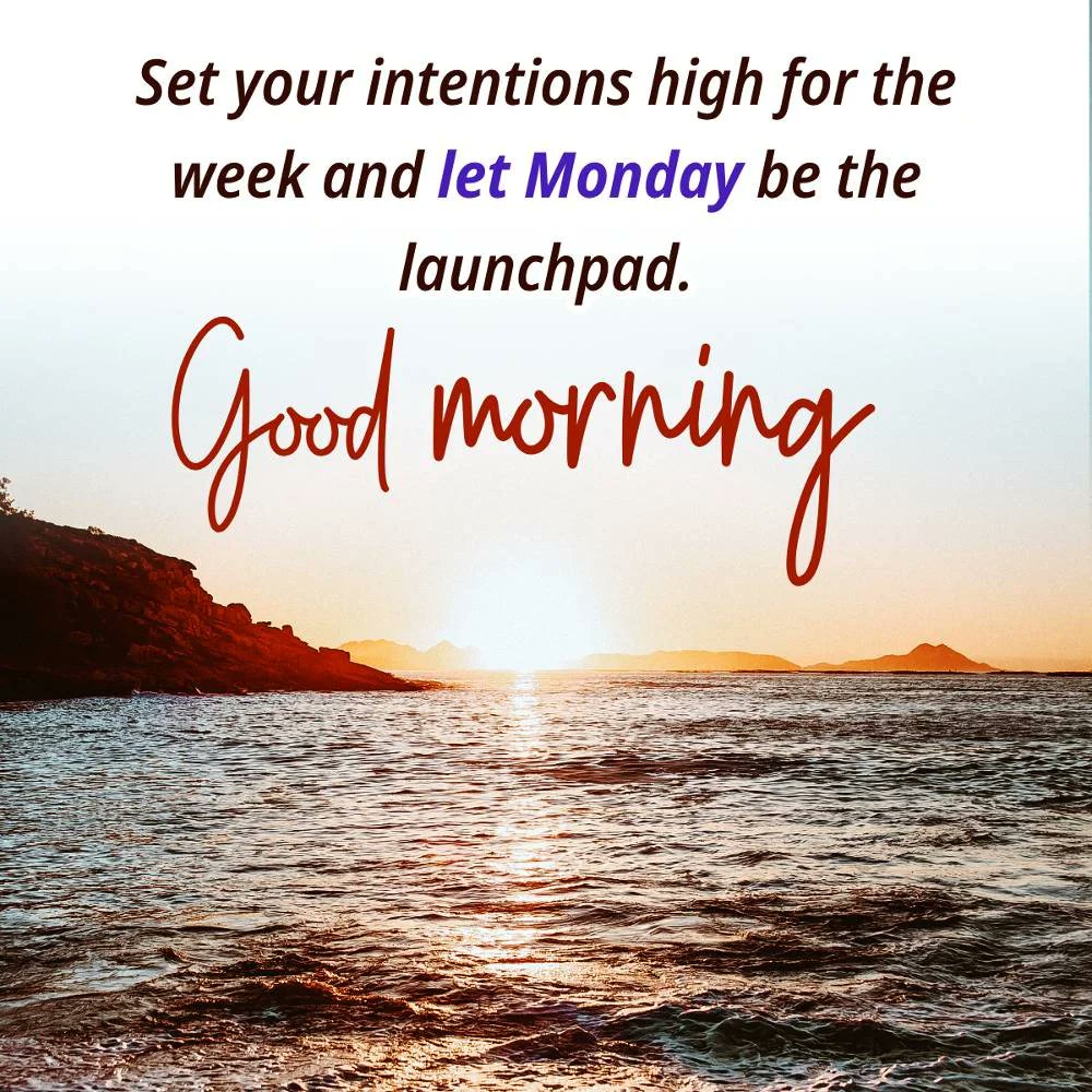 Monela06's tweet photo. https://t.co/NJHqoMXNkL