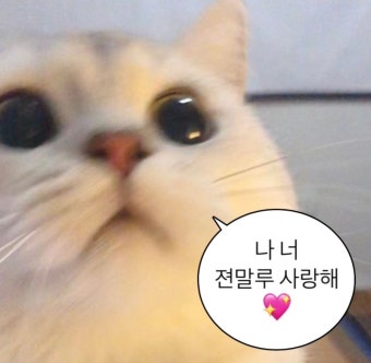 따따 tweet media