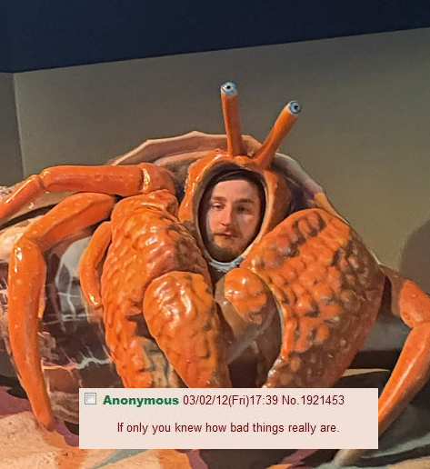 tubnubbin's tweet photo. went to the aquarium https://t.co/u8wfP5R5VG