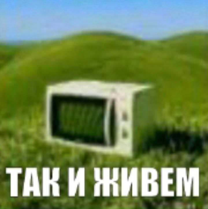 H1MOZA tweet media