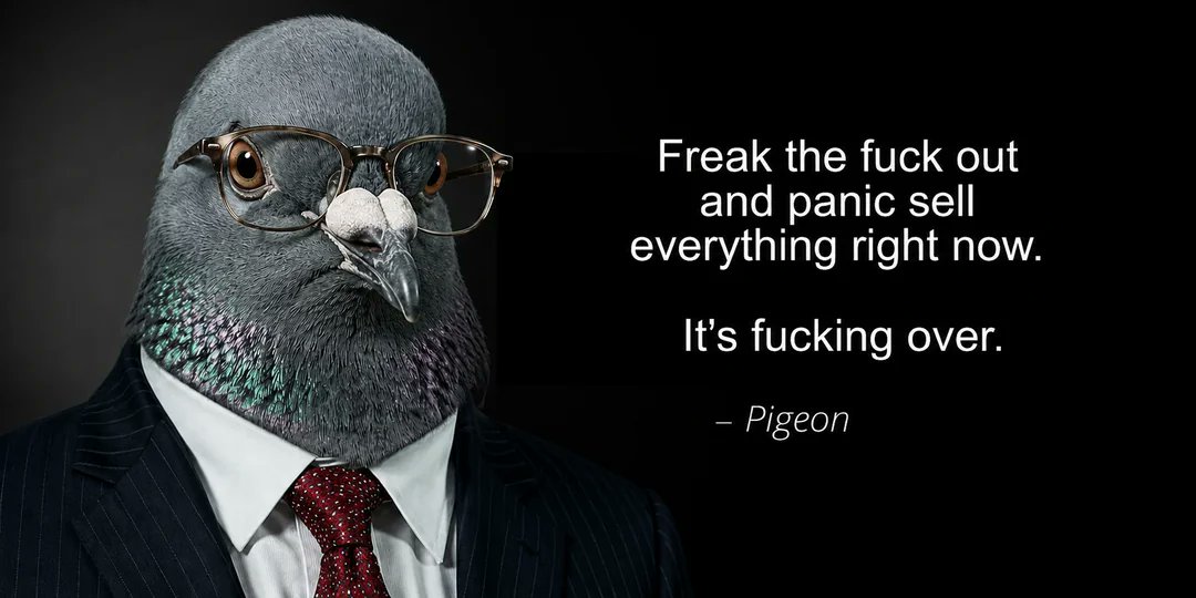 POΞ ⚡️ tweet media