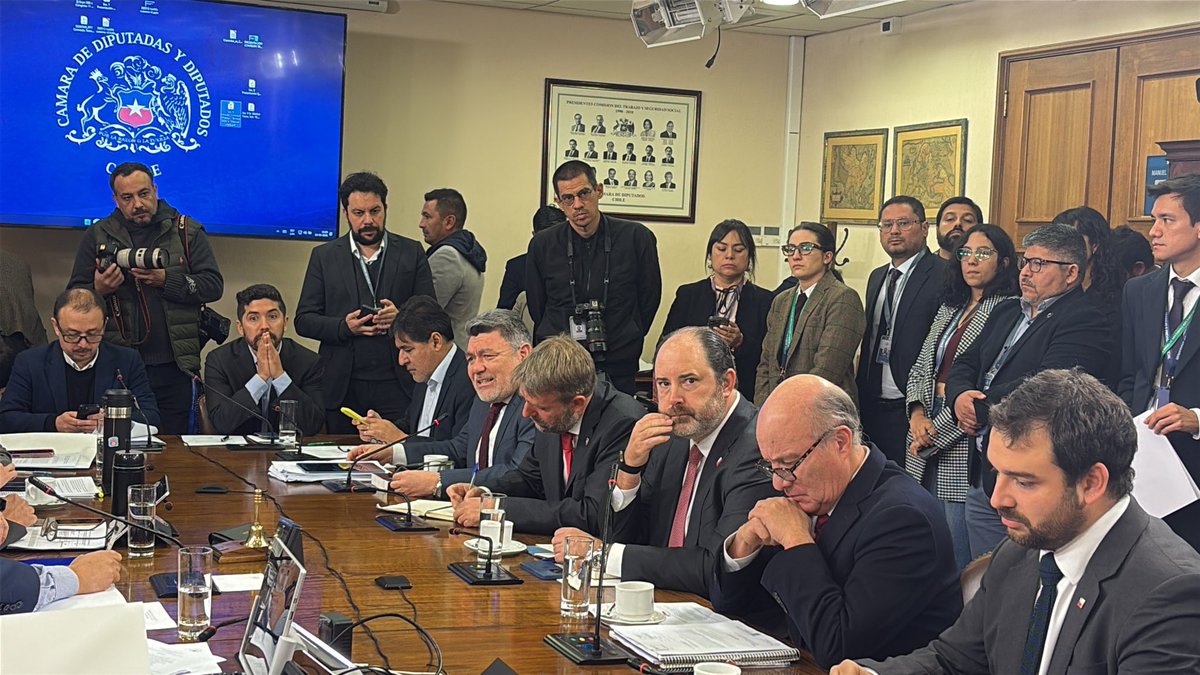 Asociadora tweet media