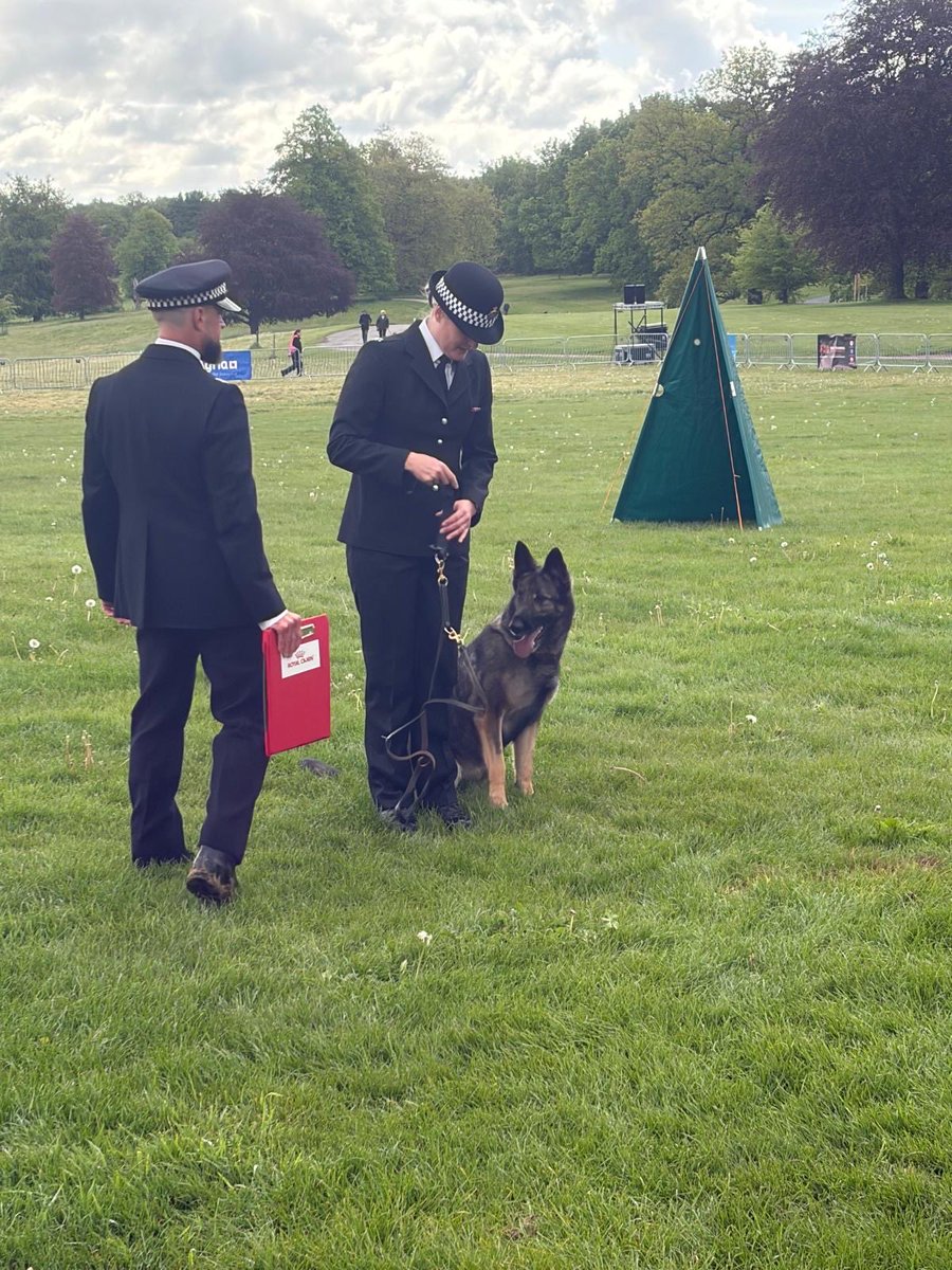 DC_Police Dogs ( Puppy Development Program) tweet media