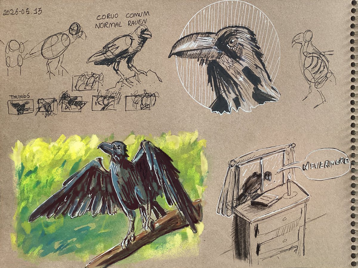 duketeus's tweet photo. dynamic sketching raven 🐦‍⬛ https://t.co/ghffiY0Osh