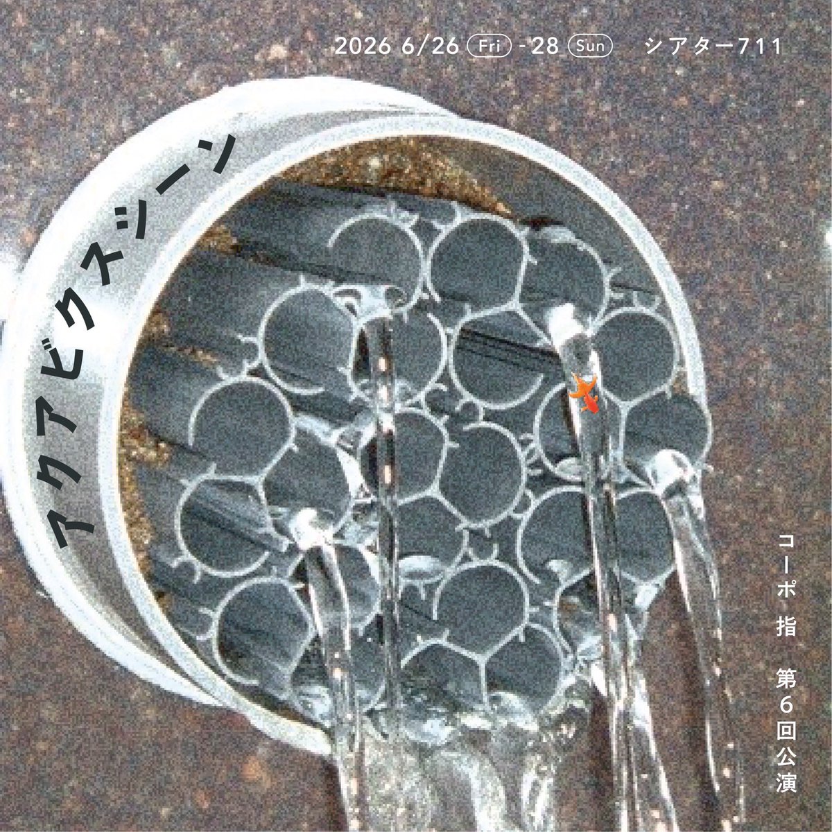 瀧口さくら tweet media