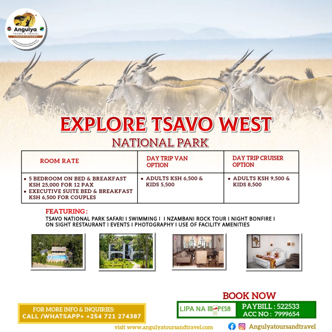 Angulya Tours and Travel tweet media