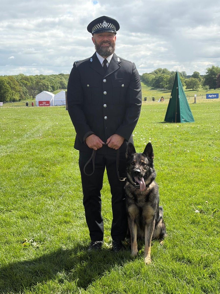 DC_Police Dogs ( Puppy Development Program) tweet media