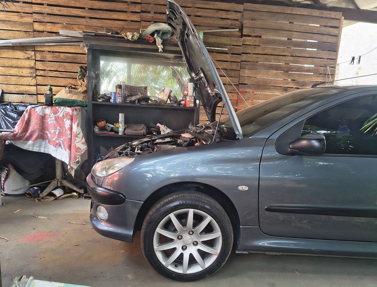 Peugeot 206 da Silva e Souza tweet media