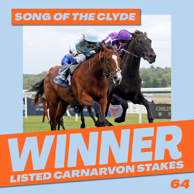 MprUpdates's tweet photo. "TOP HATS AT THE READY"🎩

Song Of The Clyde digs deep and prevails in the Listed Carnarvon Stakes against a strong field.

Read the full story here.
https://t.co/pHrppfyfb5

#TeamMPR https://t.co/YFmBELvbo9