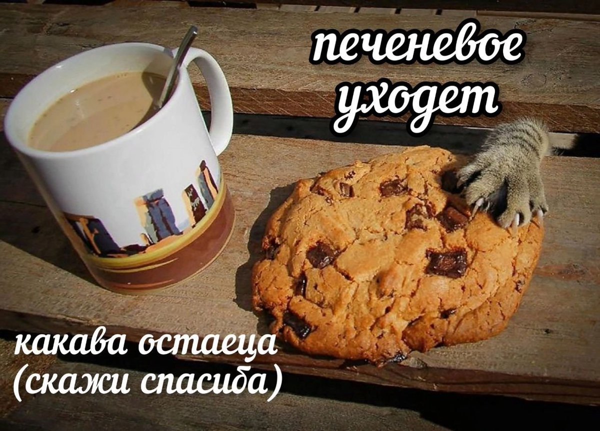 catsilcats's tweet photo. спасиба https://t.co/j8NGW248j5