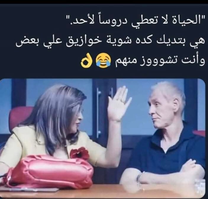 ألو أنا القطة tweet media