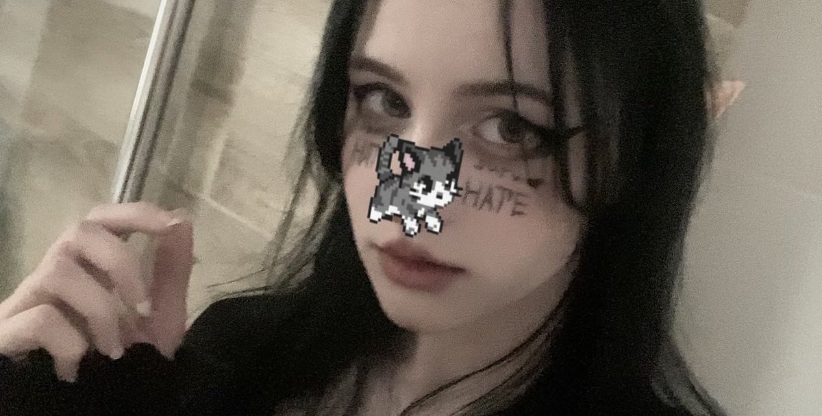 rin4hate tweet media