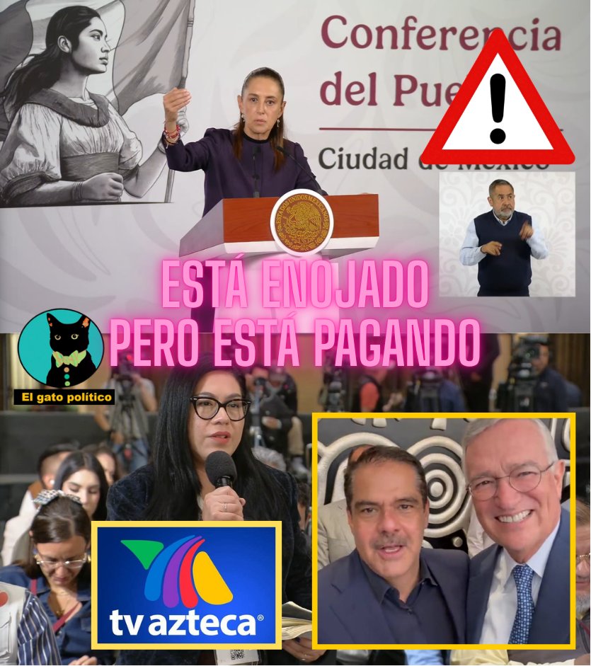 El gato político tweet media