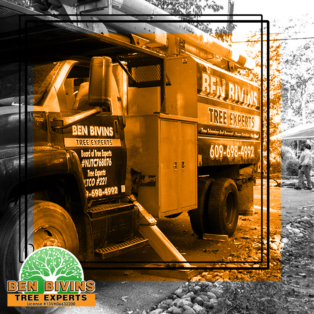 BivinsTree's tweet photo. Professional tree care takes the right equipment, the right experience, and a crew that knows how to protect your property from the ground up. Ben Bivins Tree Experts has it all.

#BenBivinsTreeExperts #TreeCare #ProfessionalTreeCare #TreeExperts #TreeService #NJTreeService https://t.co/nqmIK6TT2n