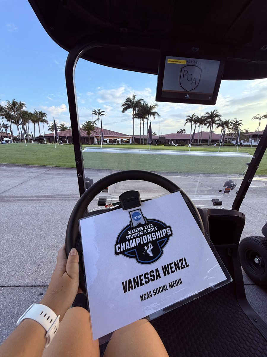 Vanessa Wenzl tweet media