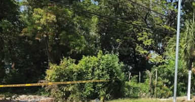 DESAPARECIDOS SOS, EL Salvador. tweet media