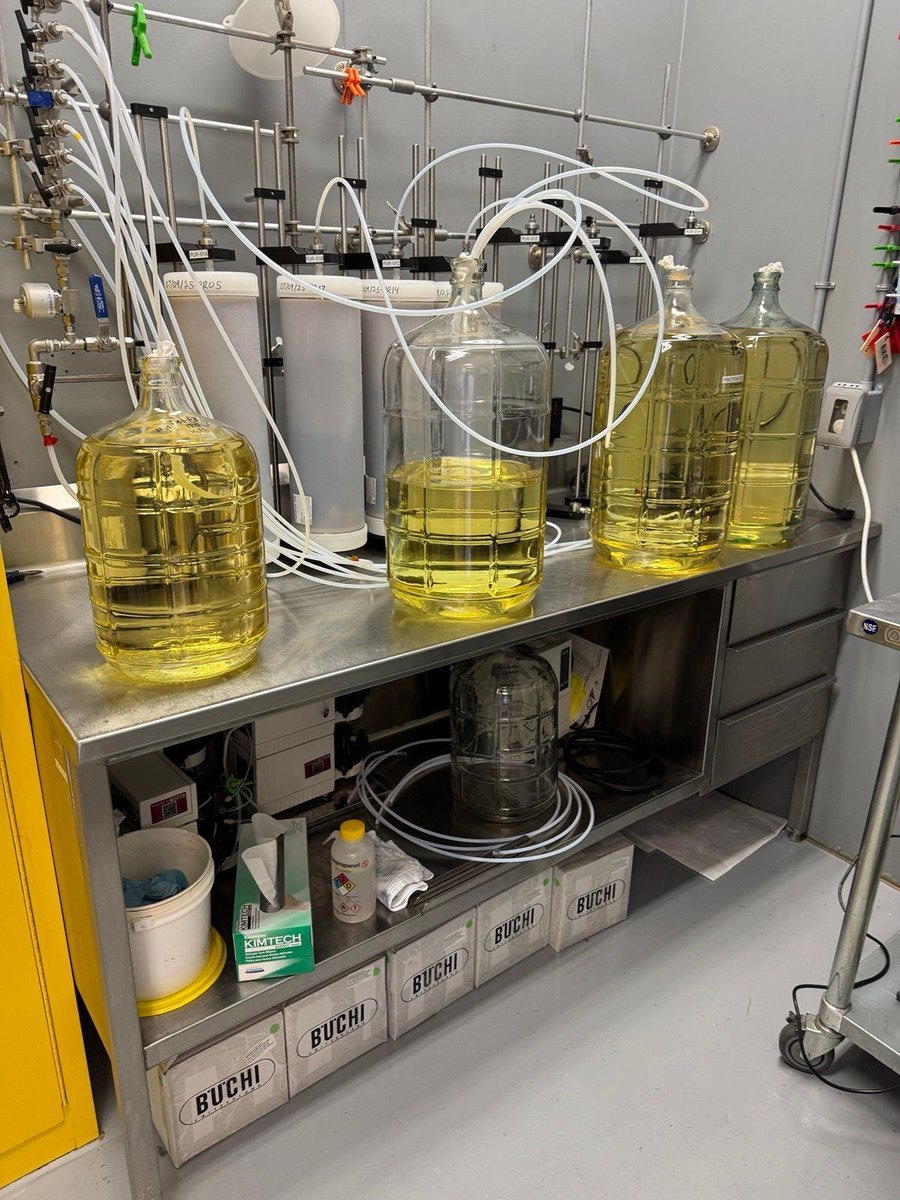 protonifycorp's tweet photo. Made in Canada. Validated under Health Canada.

Same diamond. Every kilo.

Purity matters.

#quality #puritymatters #regulatedmanufacturingatscale https://t.co/2ajpf0SH4T