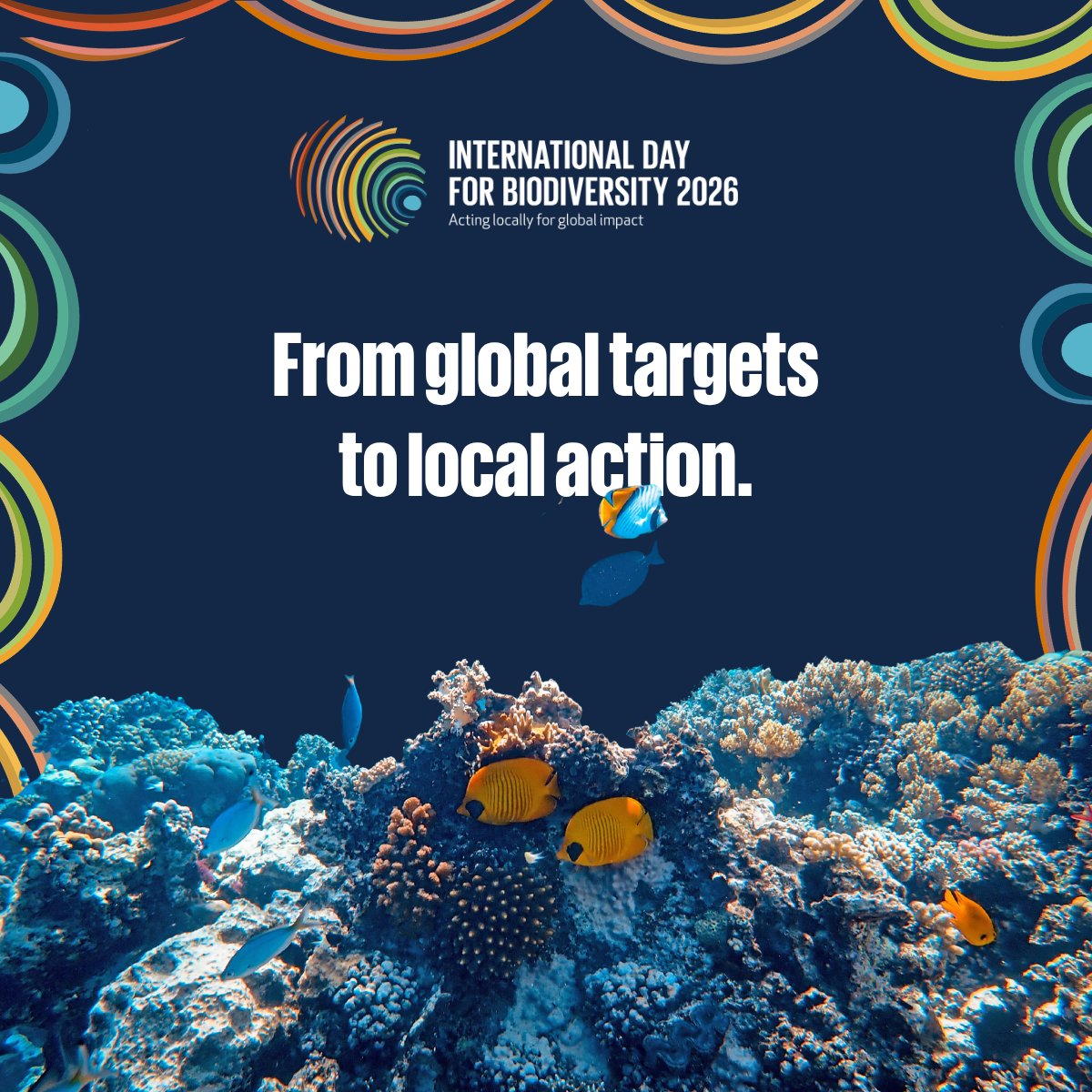 KeyBiodiversity's tweet photo. 🌍 Global goals. Local action. Shared future.

The implementation of the Global Biodiversity Framework happens on the ground, through the actions of people everywhere.

This #BiodiversityDay, discover how local initiatives are shaping global impact.

#KMGBF 

@UNBiodiversity https://t.co/qggA0MnVKi