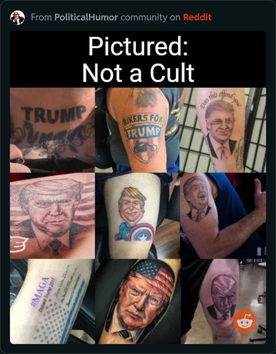 Not a Bot tweet media