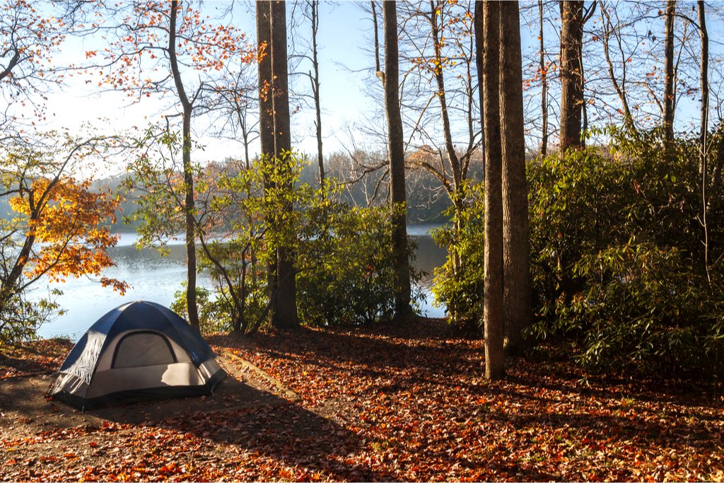 AlaBucketList's tweet photo. Find the perfect place for your group to go camping. If you are in or traveling to Birmingham, be sure to check out these 8 Perfect Campgrounds in Birmingham Alabama! https://t.co/8gPlY8gg3c | #campgrounds #camping #birmingham #alabama | 🏕 🇺🇸 https://t.co/RhCbJJVMiq