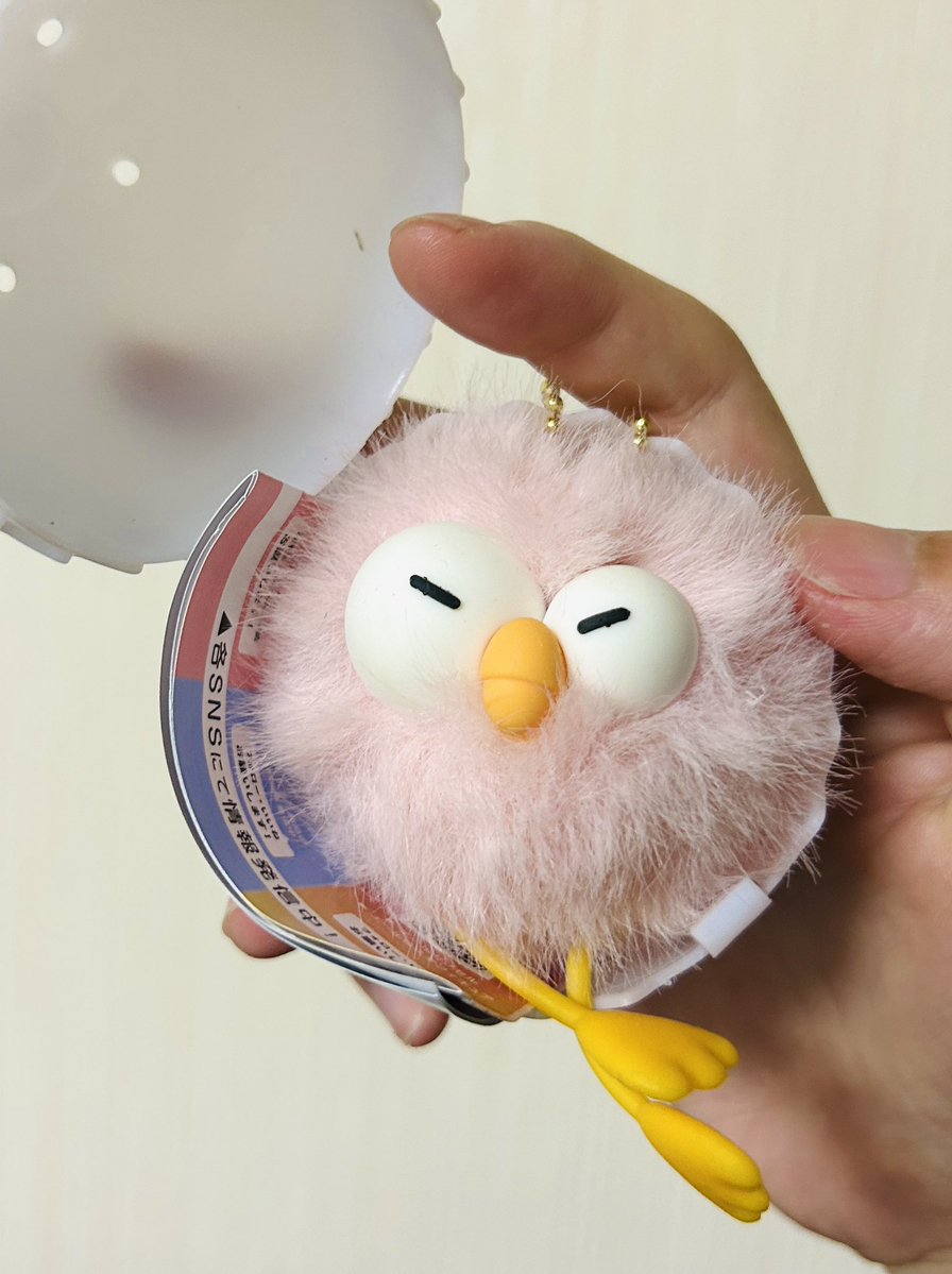 りゅせぴぴ(鴨)🦆 tweet media