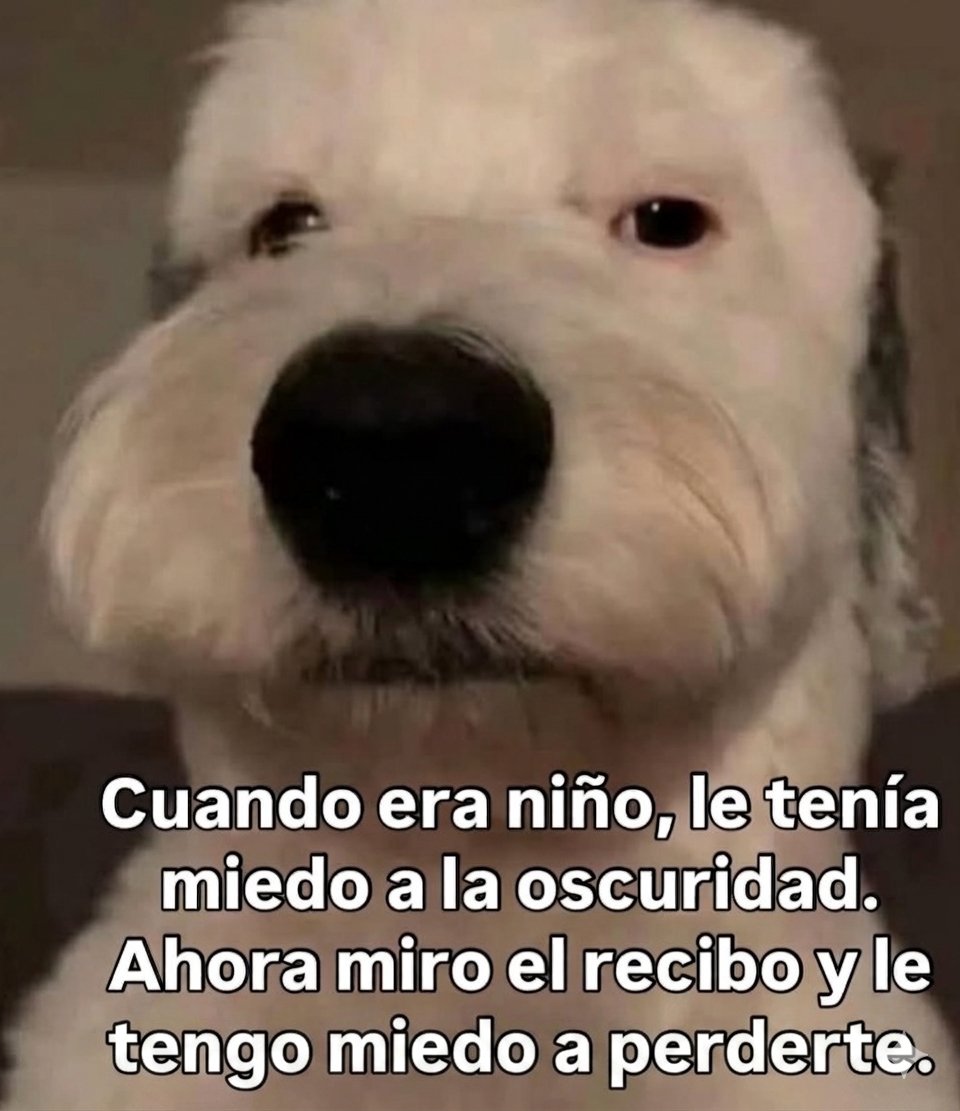 Rambo Turco tweet media