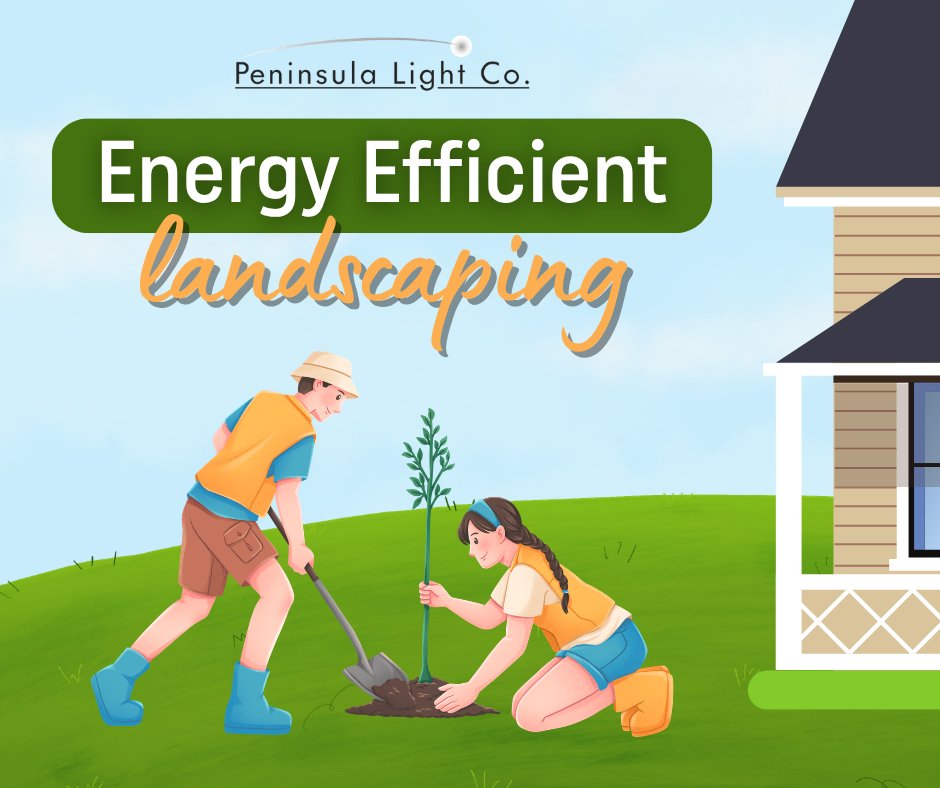 PenLightCo's tweet photo. This spring, include energy efficiency in your landscaping plans. Adding shade trees around your home can reduce air temperatures as much as 6 degrees! #EnergyEfficiency https://t.co/BhxLXQ3n5C