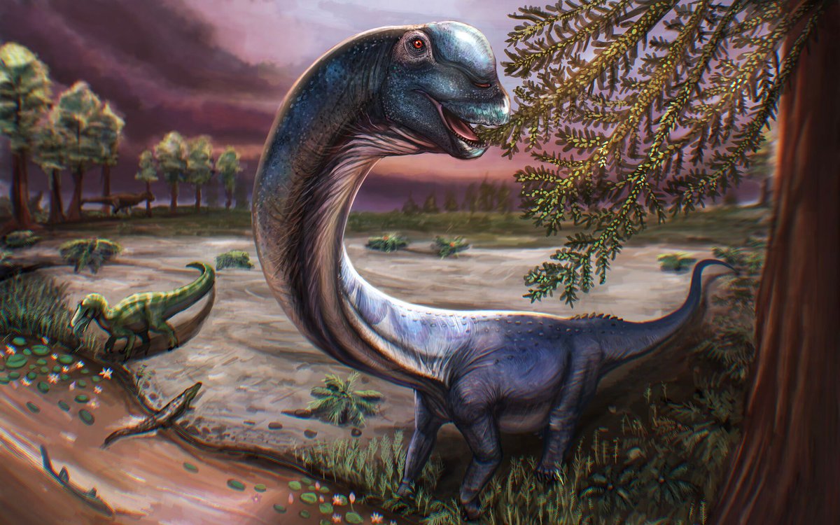 uclmaps's tweet photo. A new type of long-necked plant-eating #dinosaur, the largest ever found in #SoutheastAsia, has been revealed in a study led by researchers at UCL Earth Sciences, Mahasarakham University, Suranaree University of Technology &amp; Sirindhorn Museum in #Thailand: https://t.co/8Z5ipqP6O8 https://t.co/HkaKyhoqU2
