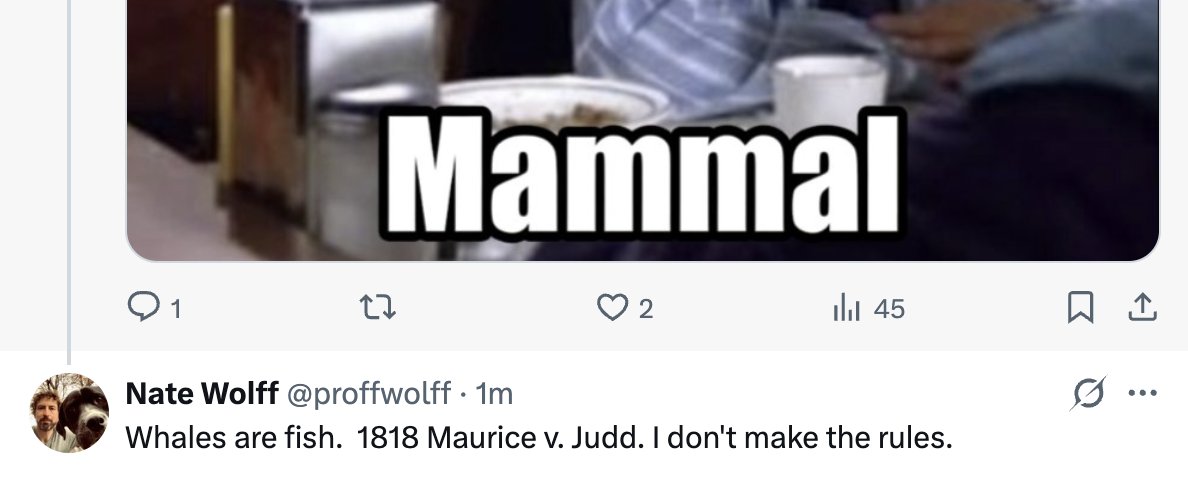 Nate Wolff tweet media