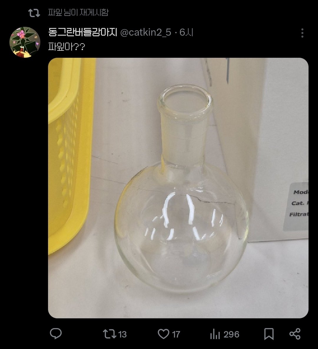 동그란버들강아지 tweet media