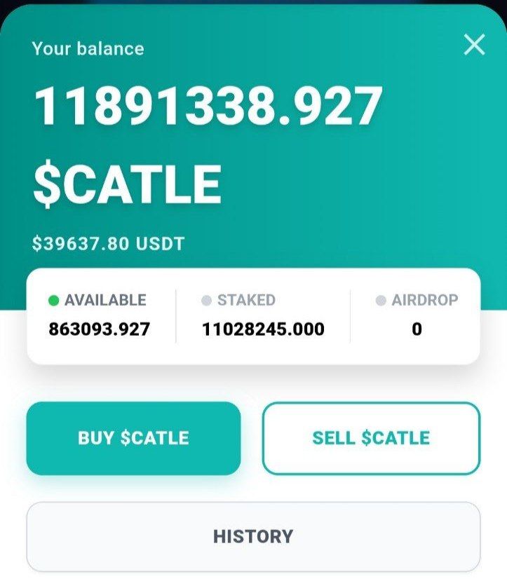 CATLE.IO tweet media
