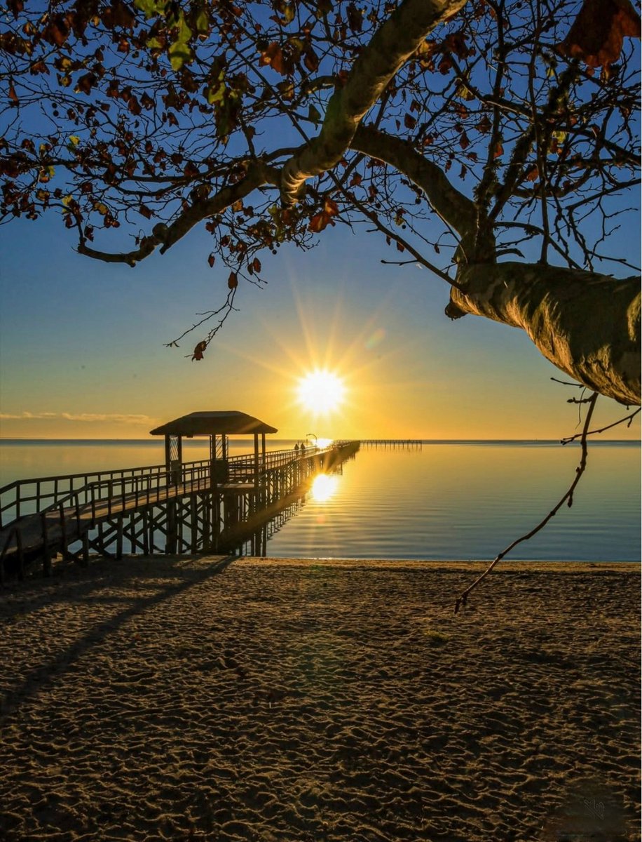 sylvia246800's tweet photo. Wonderful evening everyone π« π
#beautifulsunset https://t.co/FYPhejkhux