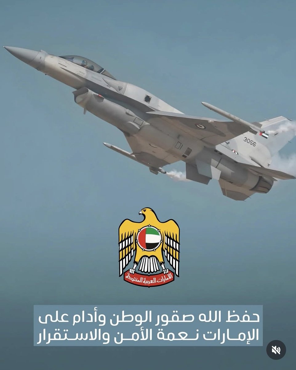 محبو محمد بن زايد tweet media