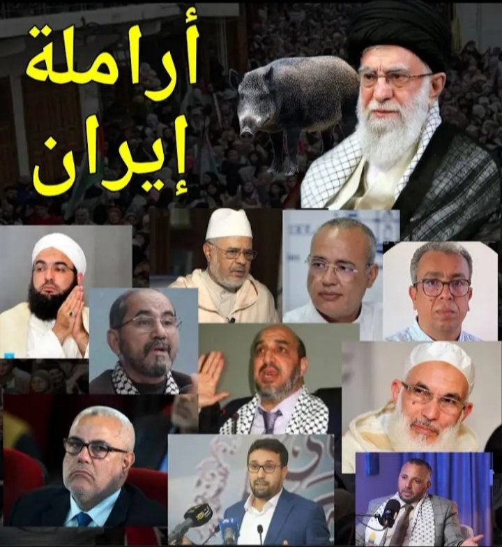 Khadir_maroc tweet media