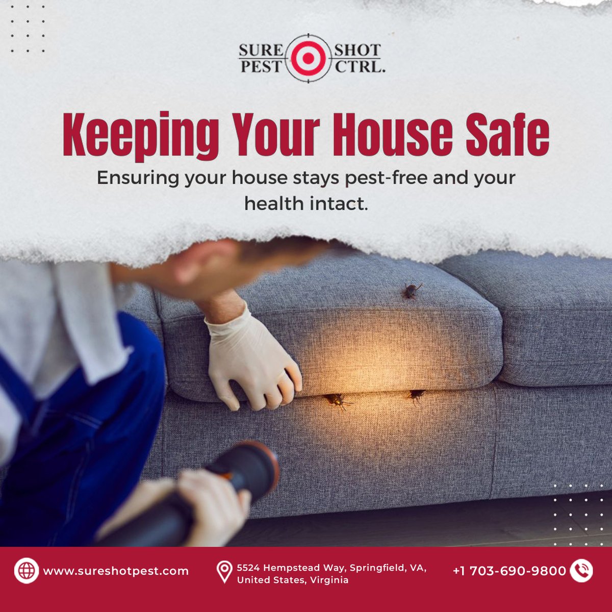 sure_shotpest's tweet photo. Protect Your Home. Protect Your Family.

Pests don’t belong in your home. 🐜
Keep your house safe, pest-free, and healthy with trusted local experts in Springfield, VA.

Book today: https://t.co/UWlRmw1GA8

#PestControl #SpringfieldVA #TermiteControl #BedBugTreatment https://t.co/3UouW1AXoE