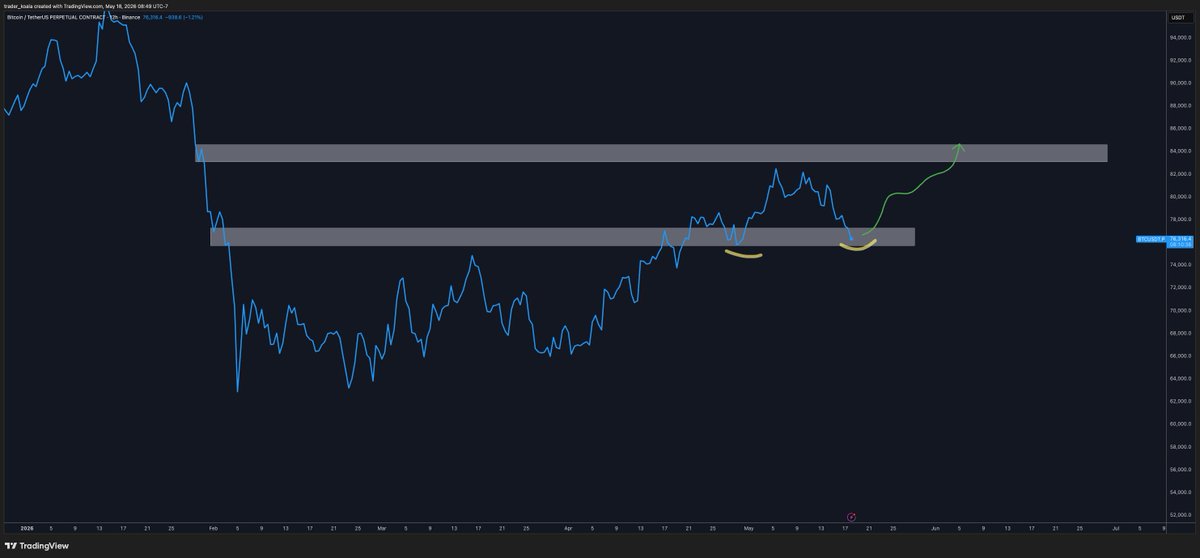 Trader Koala tweet media