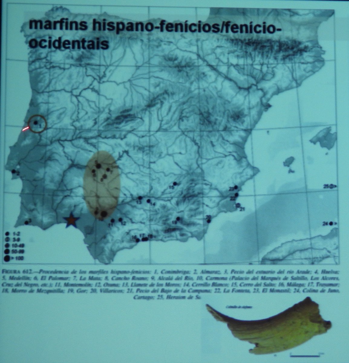 ConimbrigaMN's tweet photo. DIM | 𝐃𝐢𝐚 𝐈𝐧𝐭𝐞𝐫𝐧𝐚𝐜𝐢𝐨𝐧𝐚𝐥 𝐝𝐨𝐬 𝐌𝐮𝐬𝐞𝐮𝐬 - Museus a unir um mundo dividido
𝐏𝐚𝐥𝐞𝐬𝐭𝐫𝐚 | Entre Dentes de Marfim: Um objecto, múltiplas leituras, mundos em conexão | arqueóloga Sara Almeida MNC.

#conimbriga #dim #MMP https://t.co/RsaLPrrGSH